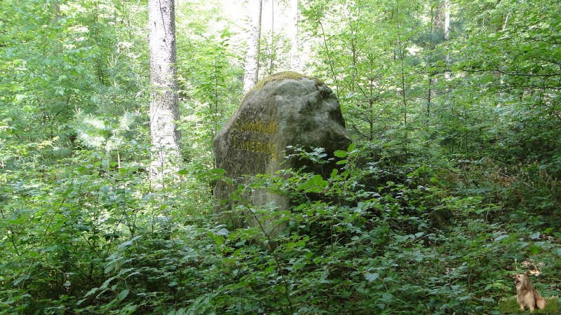 Ritterstein Nr. 264-6b Scheidhütte Niliusburg.JPG - Ritterstein Nr.264 Scheidhütte Niliusburg